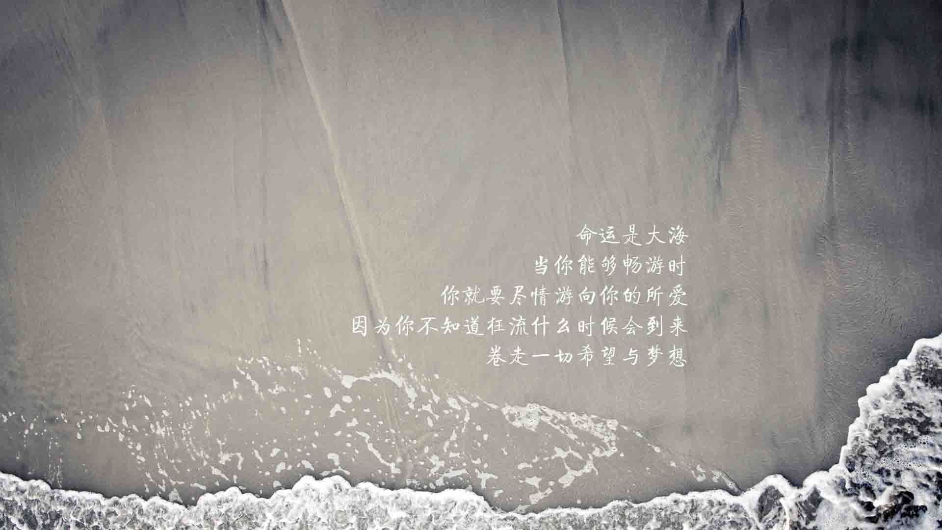 太阳名宿发声助威球队，期待晋级下一轮比赛，太阳名宿队名单
