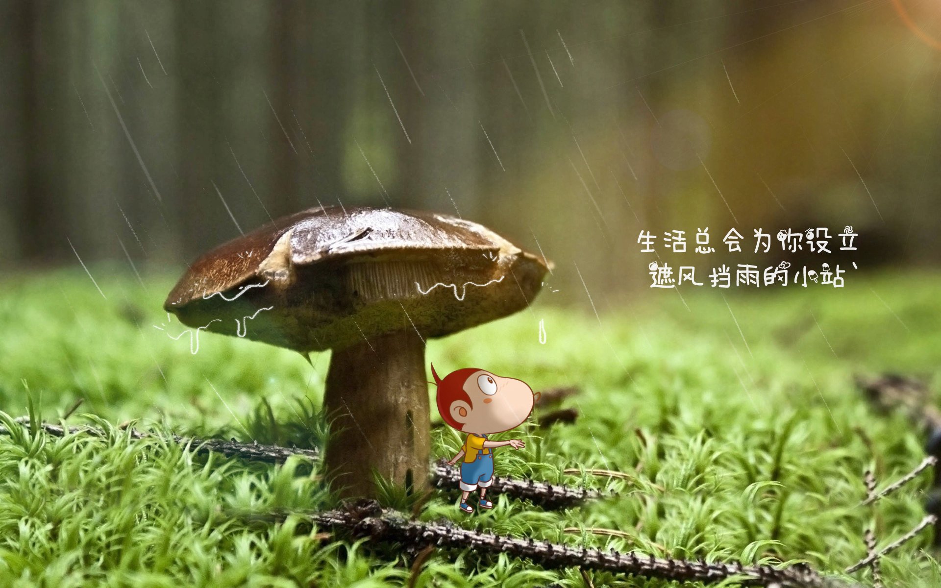 CBA联盟举办高水平裁判培训营提升执法质量，cba专业裁判