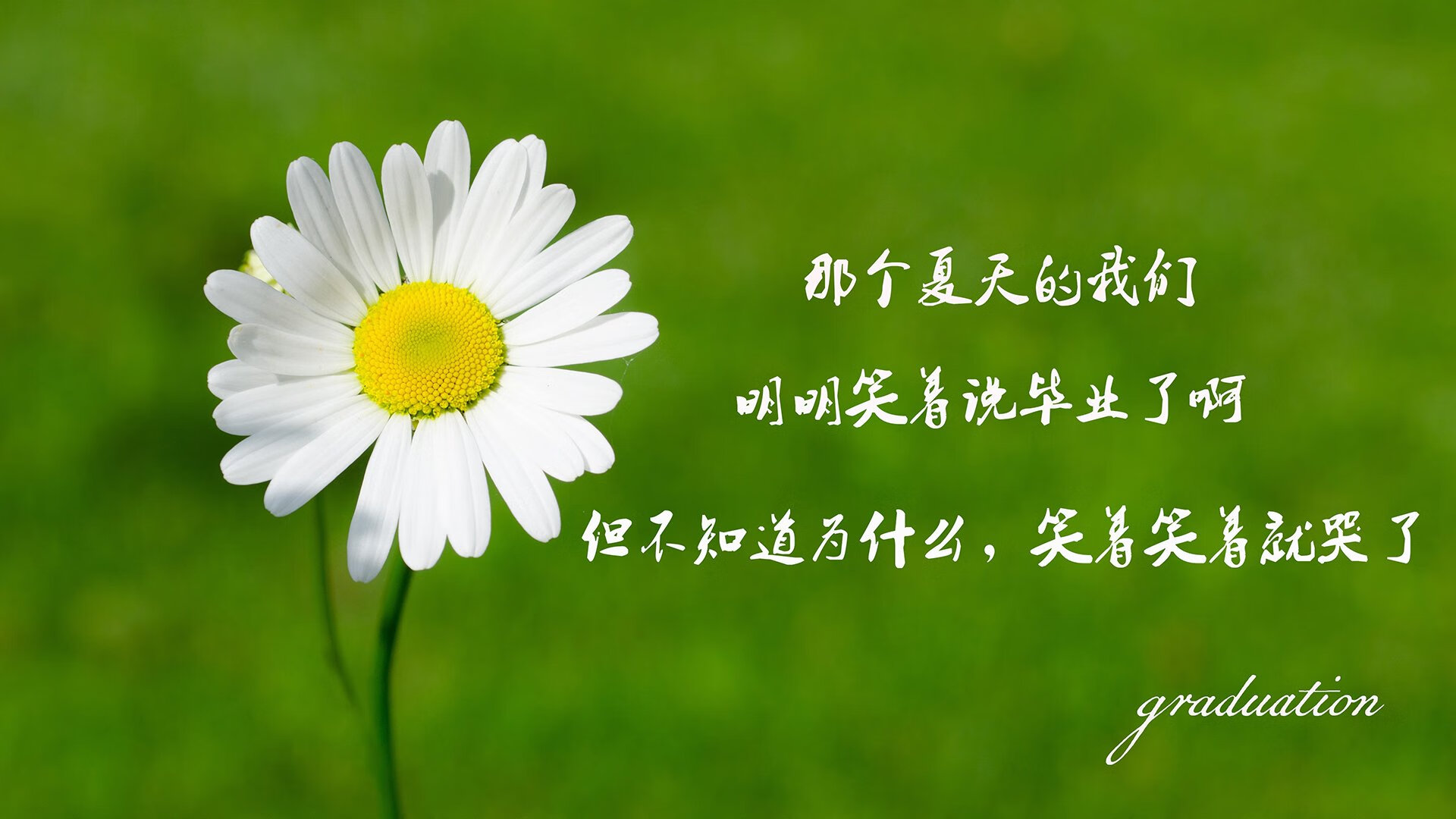 图赫尔战术布置成夺冠制胜法宝，图赫尔执教历史战绩