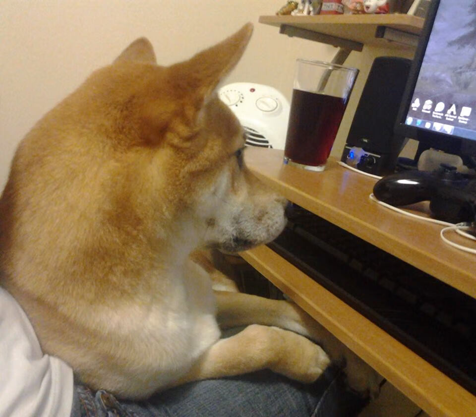 B体育下载-美洲杯星光璀璨：明星闪耀，奇迹不停！，美洲杯巨星