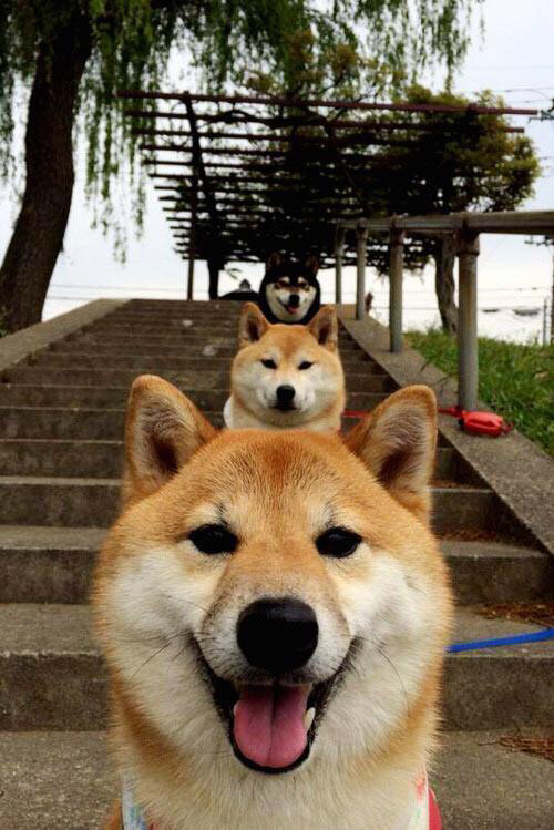 青训考核标准加入认知测试评估战术理解力,青训训练内容