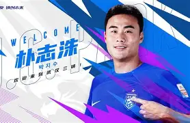 包含bsports体育:中超球队的引援策略，未来星的潜力分析的词条